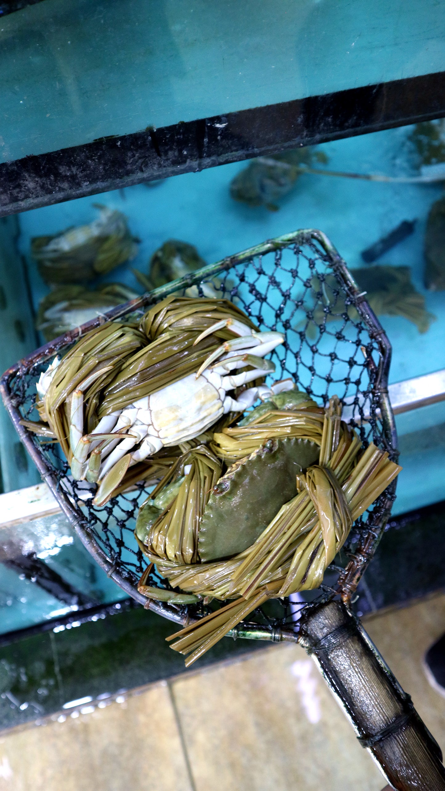 本地黃油奄仔蟹 (1隻)|金黃飽滿蟹膏 甘香滋味!